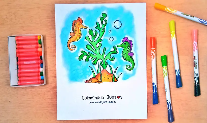 Dessin d’algue colorié par Colorions Ensemble