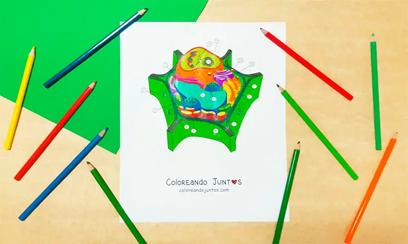 Dessin de cellule colorié par Colorions Ensemble
