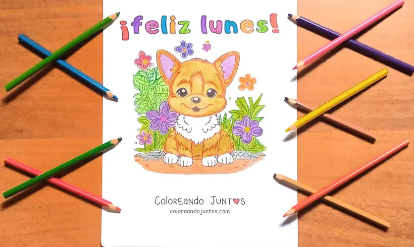 Dessin du lundi colorié par Colorions Ensemble