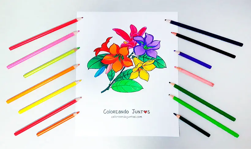 Dessin de lys colorié par Colorions Ensemble