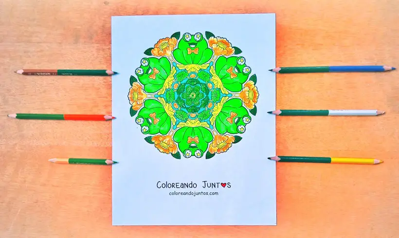 Dessin de mandala pour enfants colorié par Colorions Ensemble