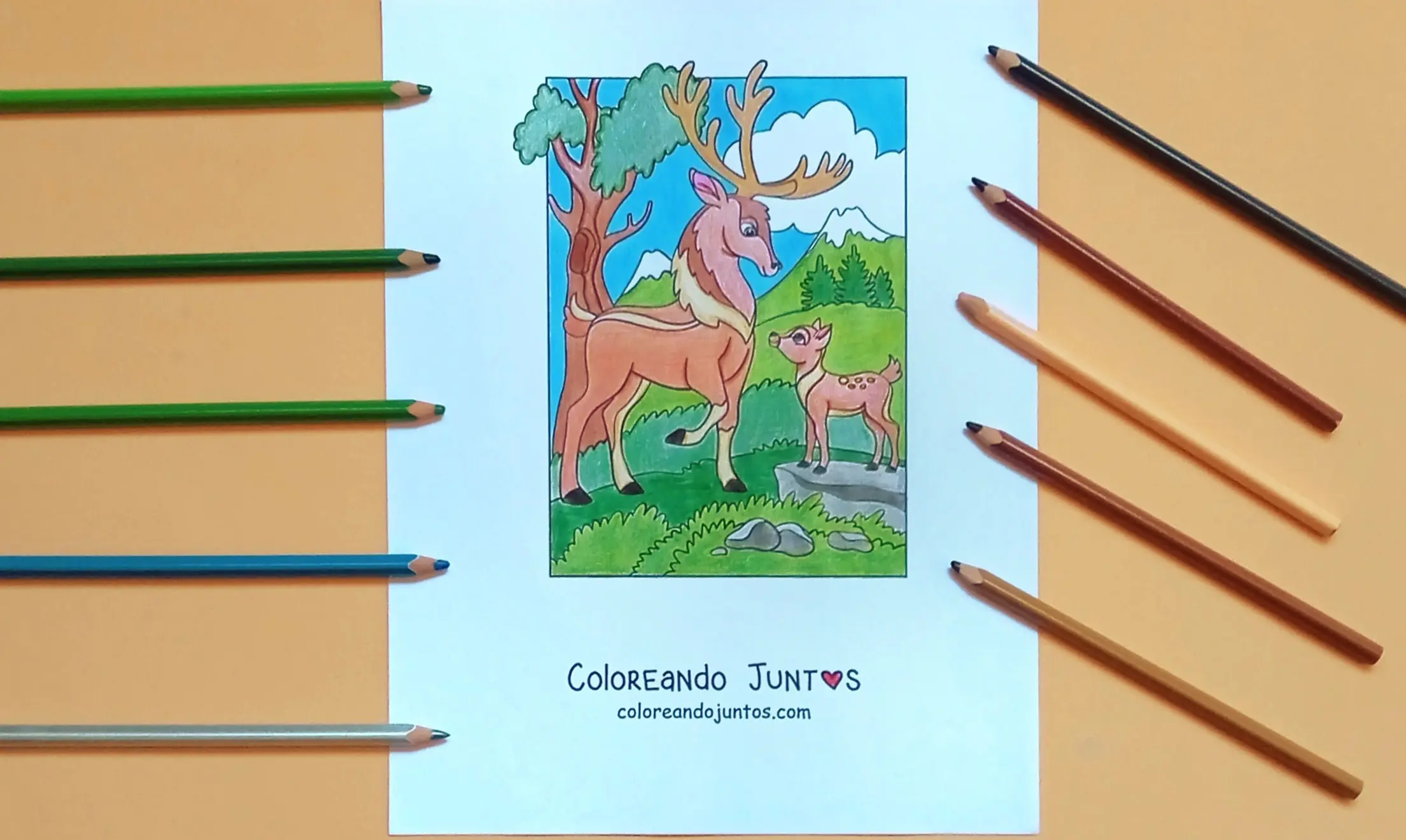 Dessin de nature kawaii colorié par Colorions Ensemble