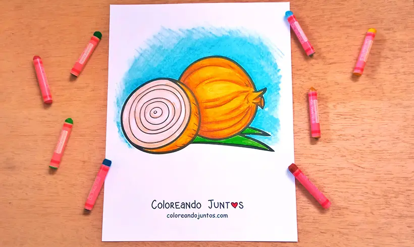 Dessin d’oignon colorié par Colorions Ensemble