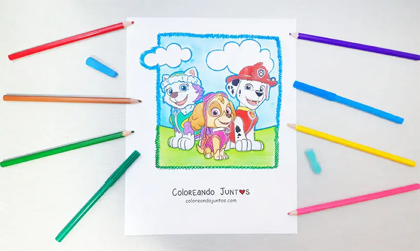 Coloriage de la Pat’Patrouille colorié par Colorions Ensemble