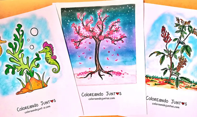 Coloriages de plantes et d'arbres réalisés par Colorions Ensemble