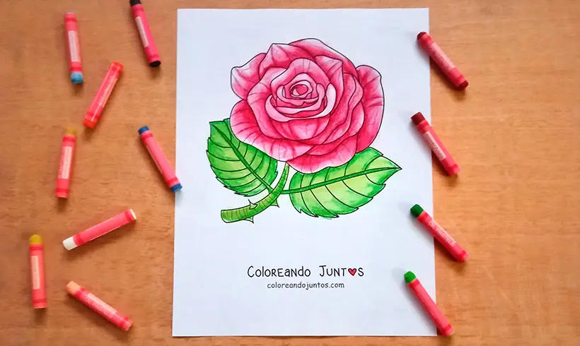 Coloriage de rose colorié par Colorions Ensemble