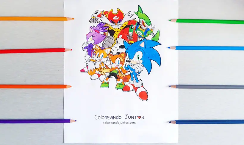 Dessin de Sonic colorié par Colorions Ensemble