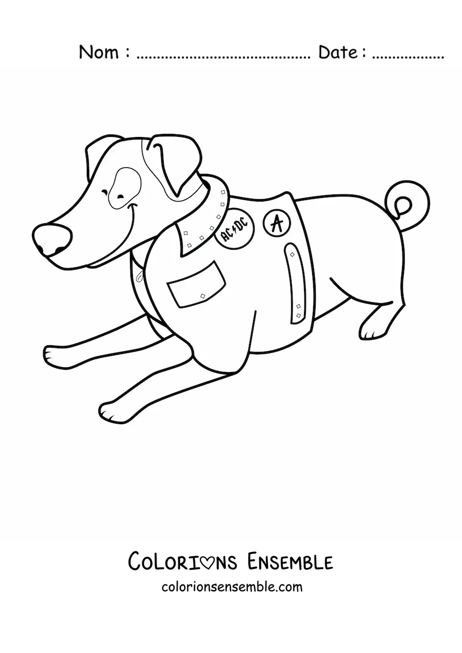 Image à colorier d’un jack russell terrier allongé portant une veste