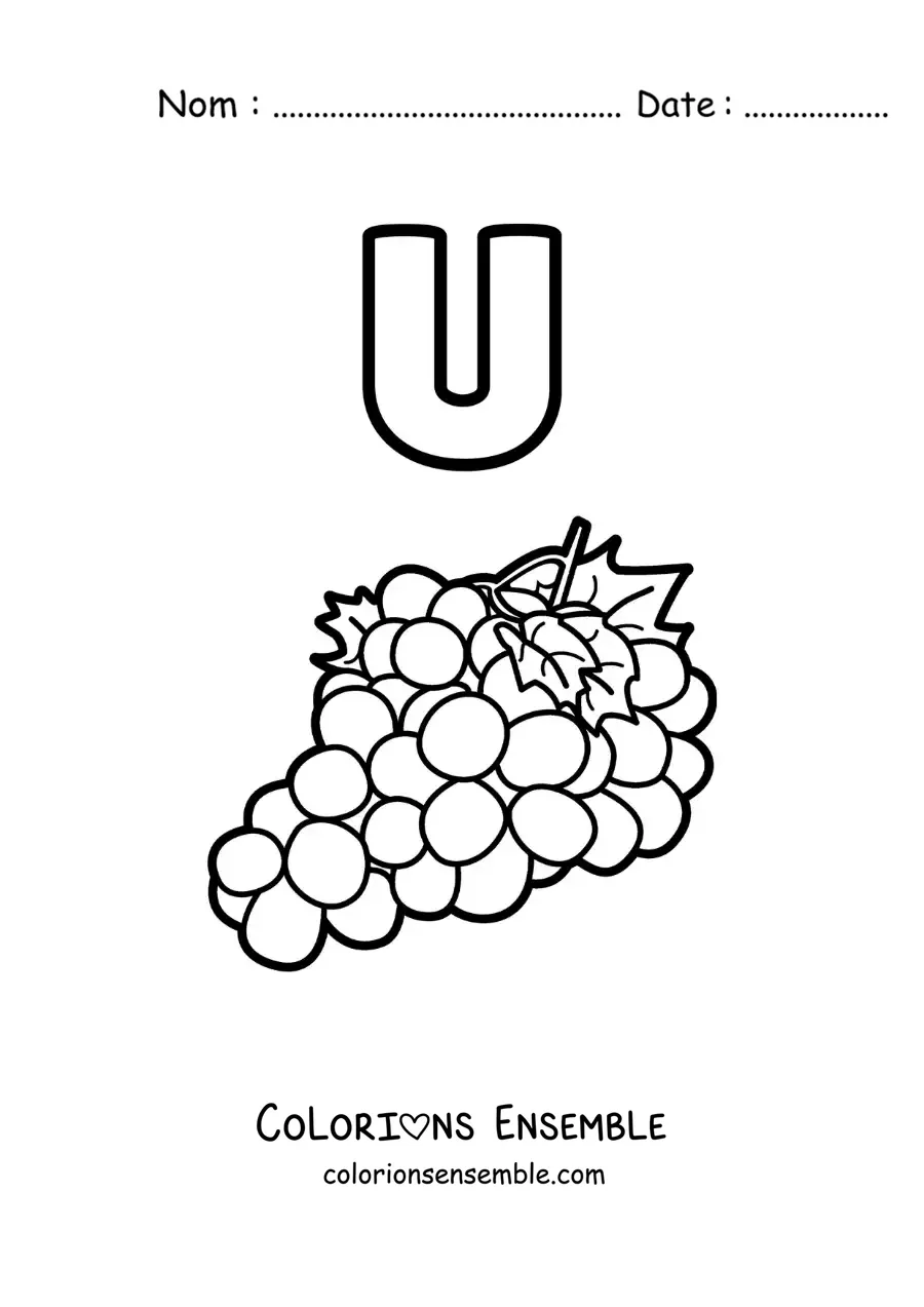 Image a colorier de la lettre U comme raisins