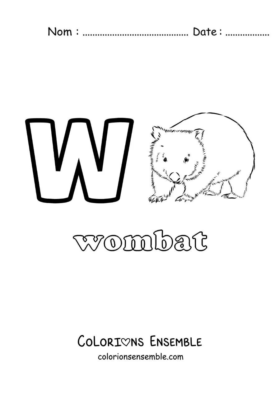 Image a colorier de la lettre W comme wombat