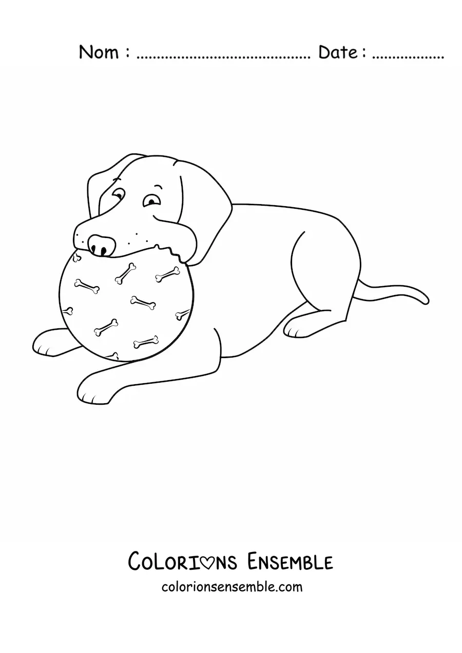 Image à colorier d’un labrador allongé mordillant une balle