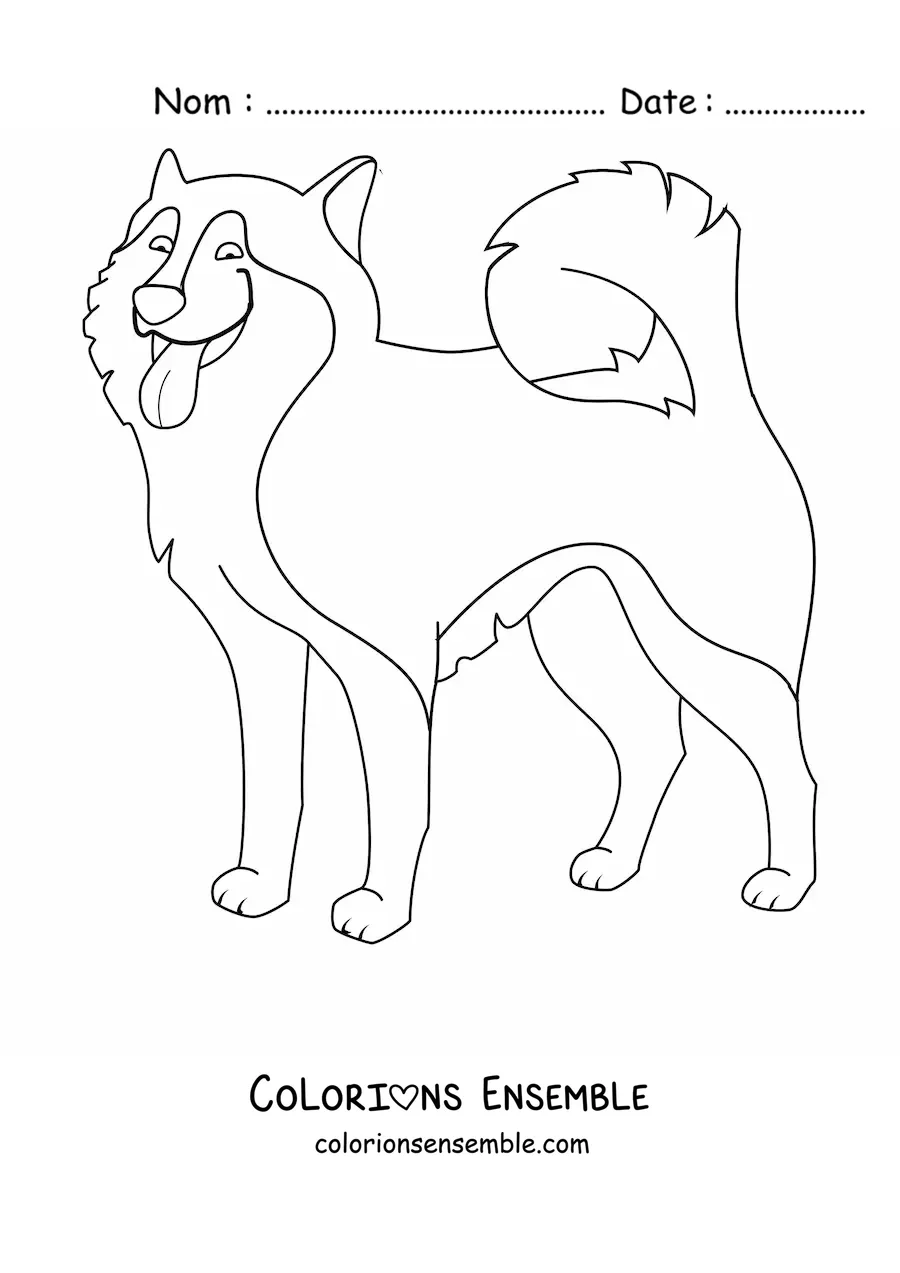 Image à colorier d’un husky