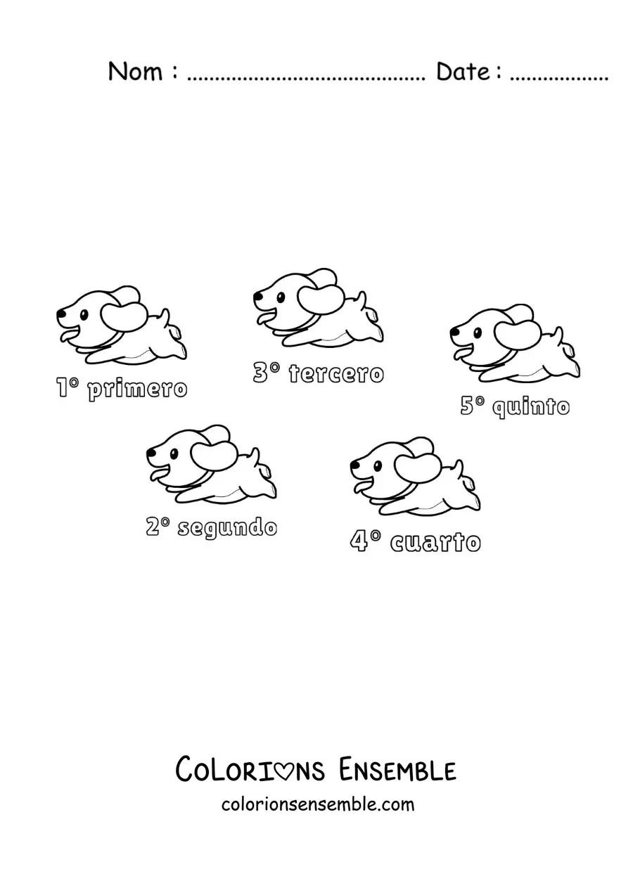 Image à colorier d’une course de chiens avec les nombres ordinaux de 1 à 5 pour les enfants