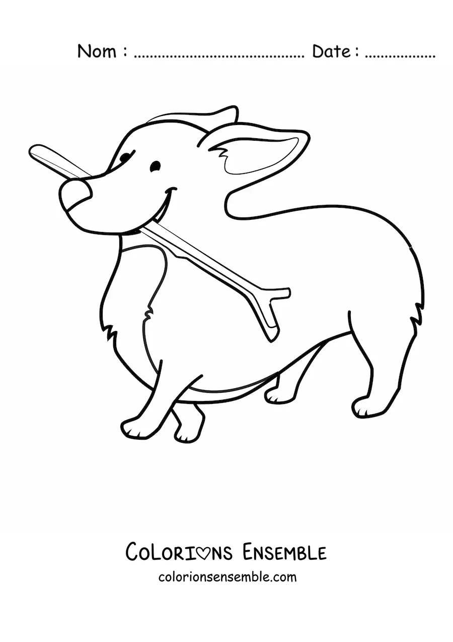Image à colorier d’un corgi mordillant une branche