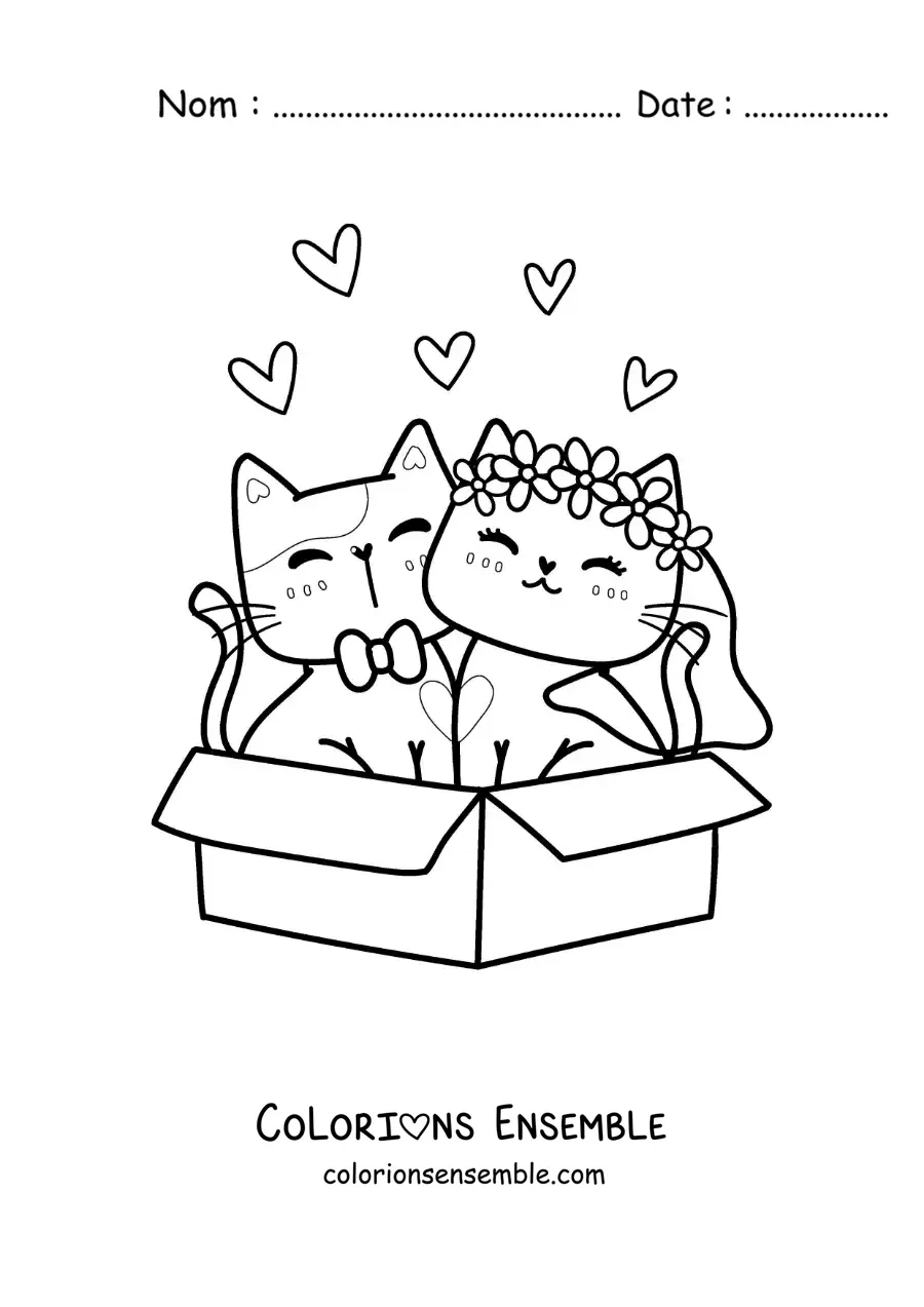 Image à colorier de tendres chatons jeunes mariés assis dans une boîte