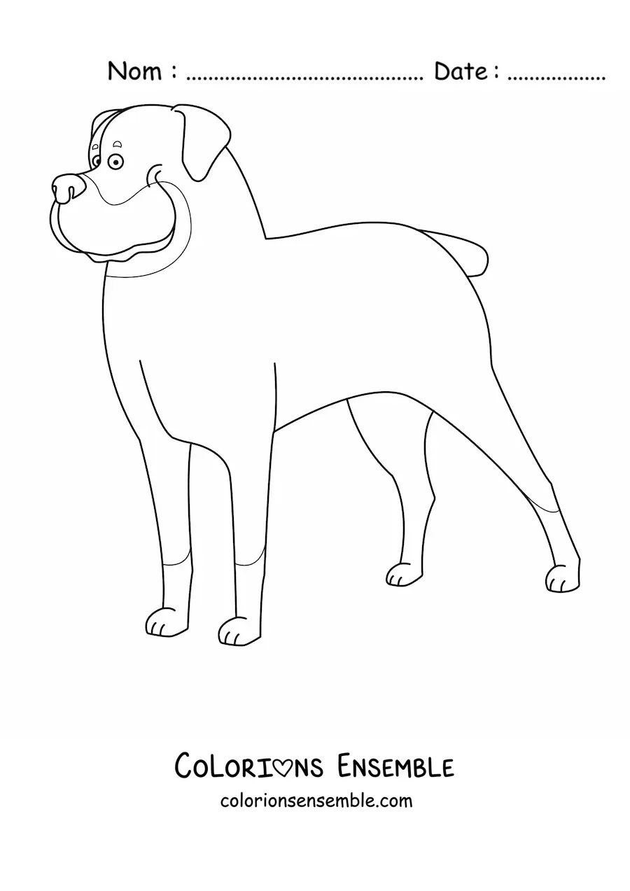 Image à colorier d’un rottweiler