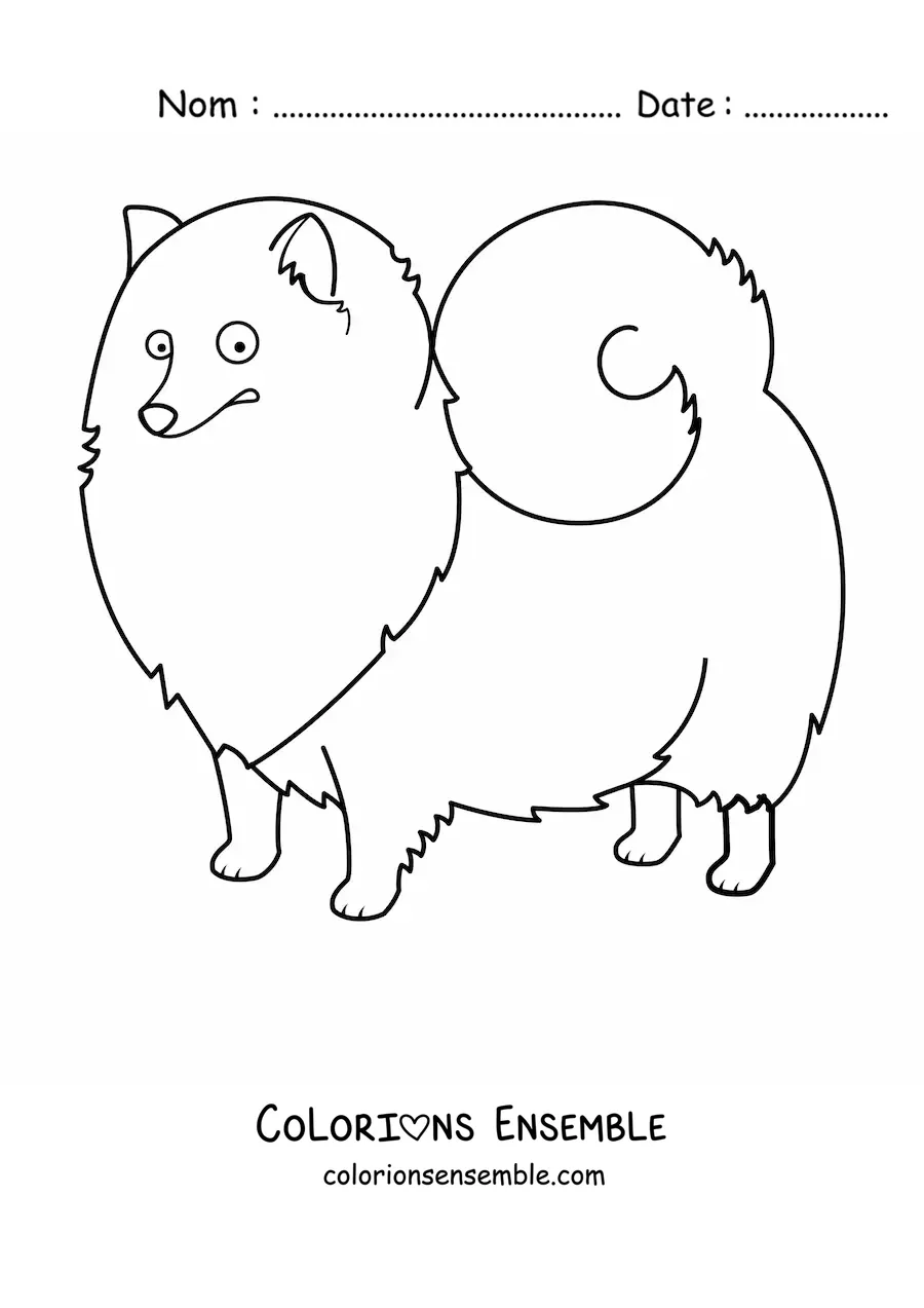 Image à colorier d’un spitz nain