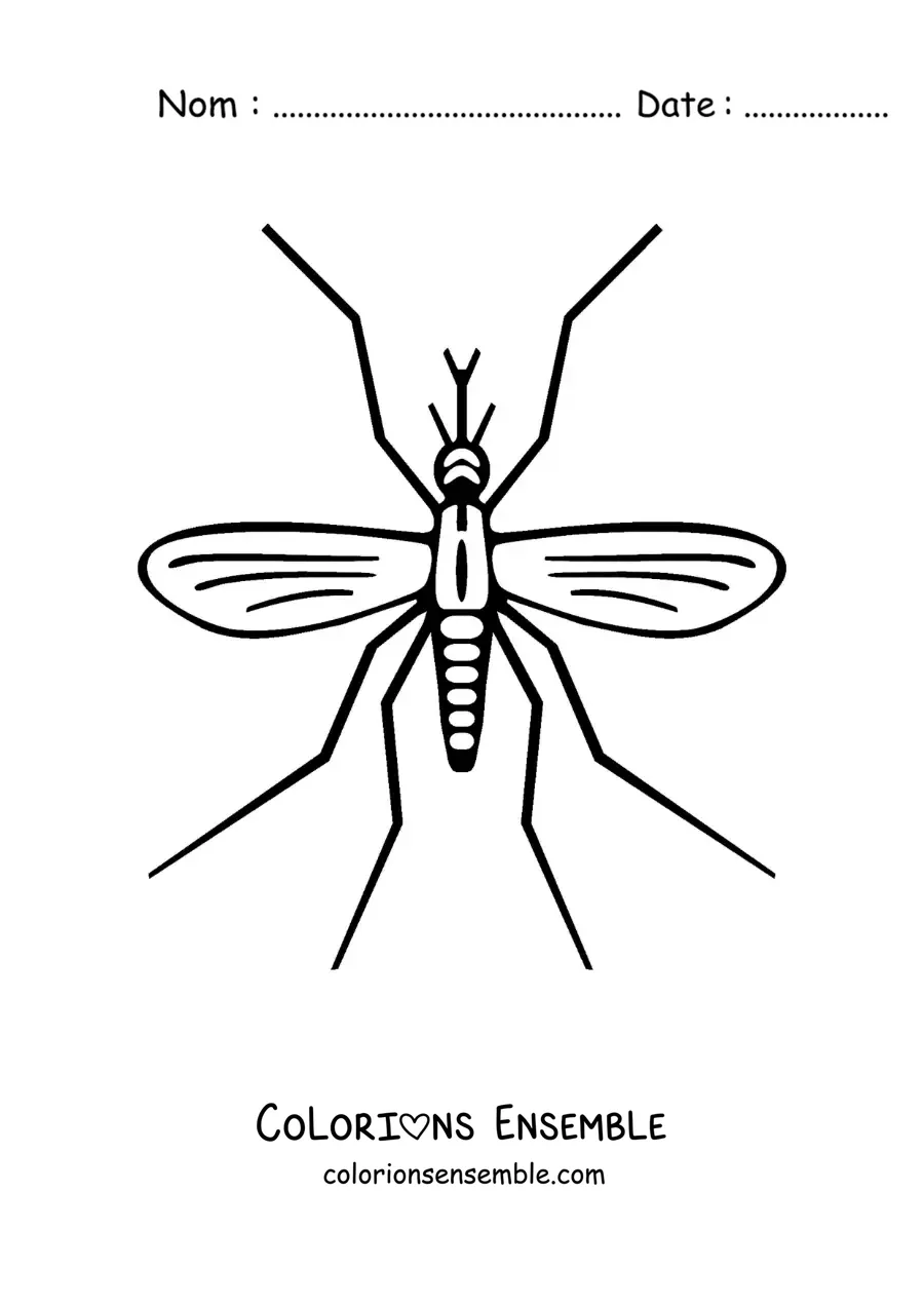 Image à colorier d’un moustique de la dengue