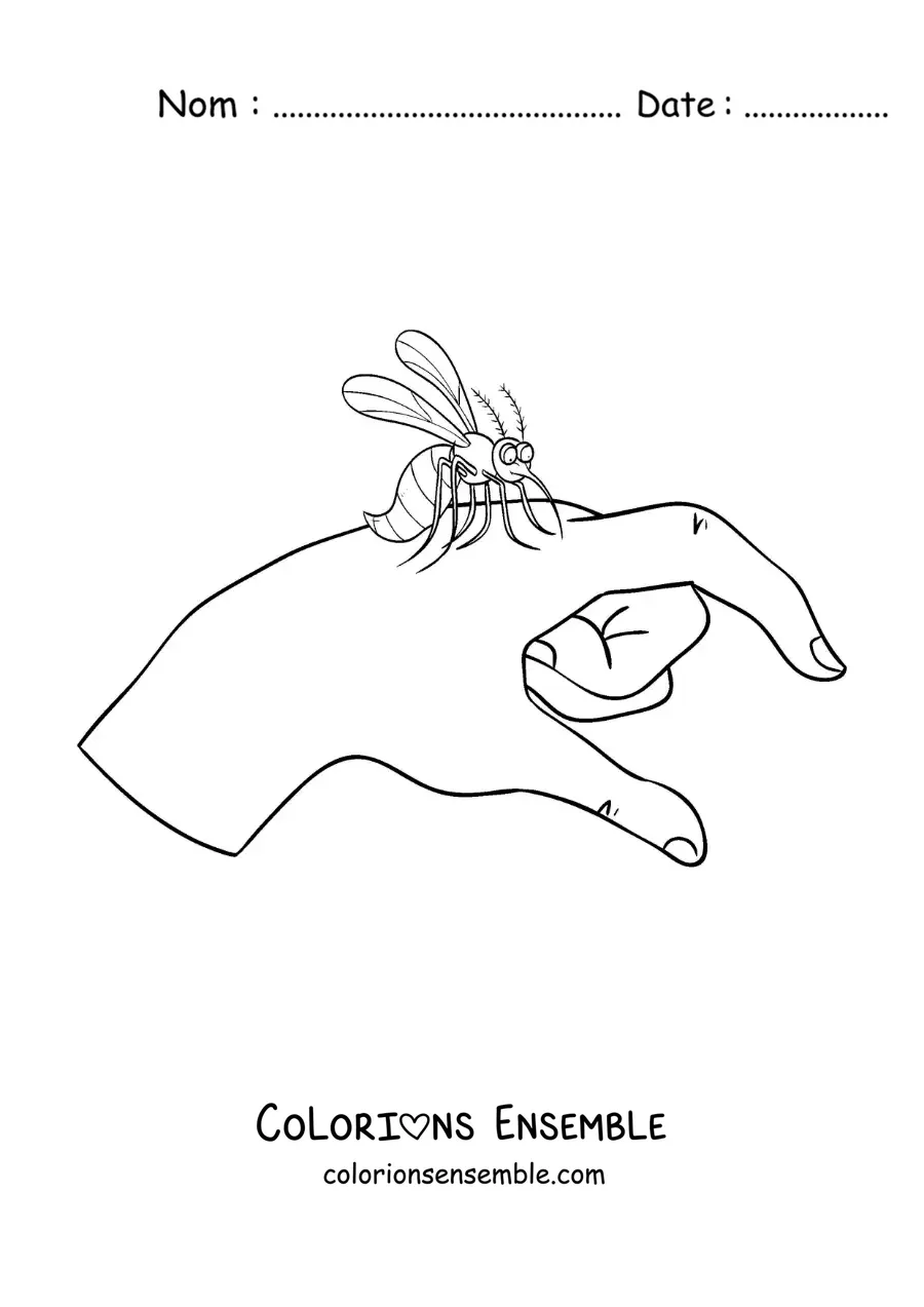 Image à colorier d’une piqûre du moustique Aedes aegypti