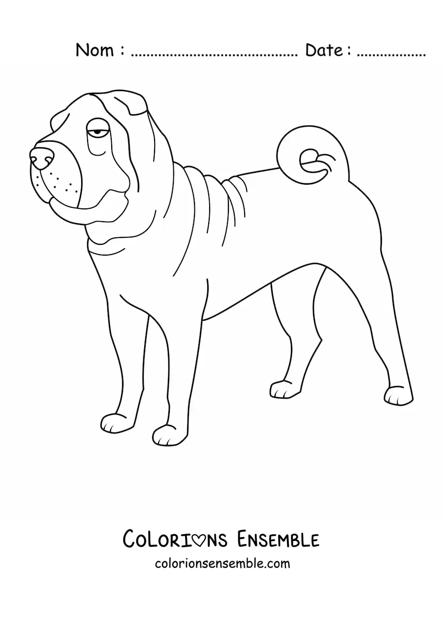 Image à colorier d’un shar-peï