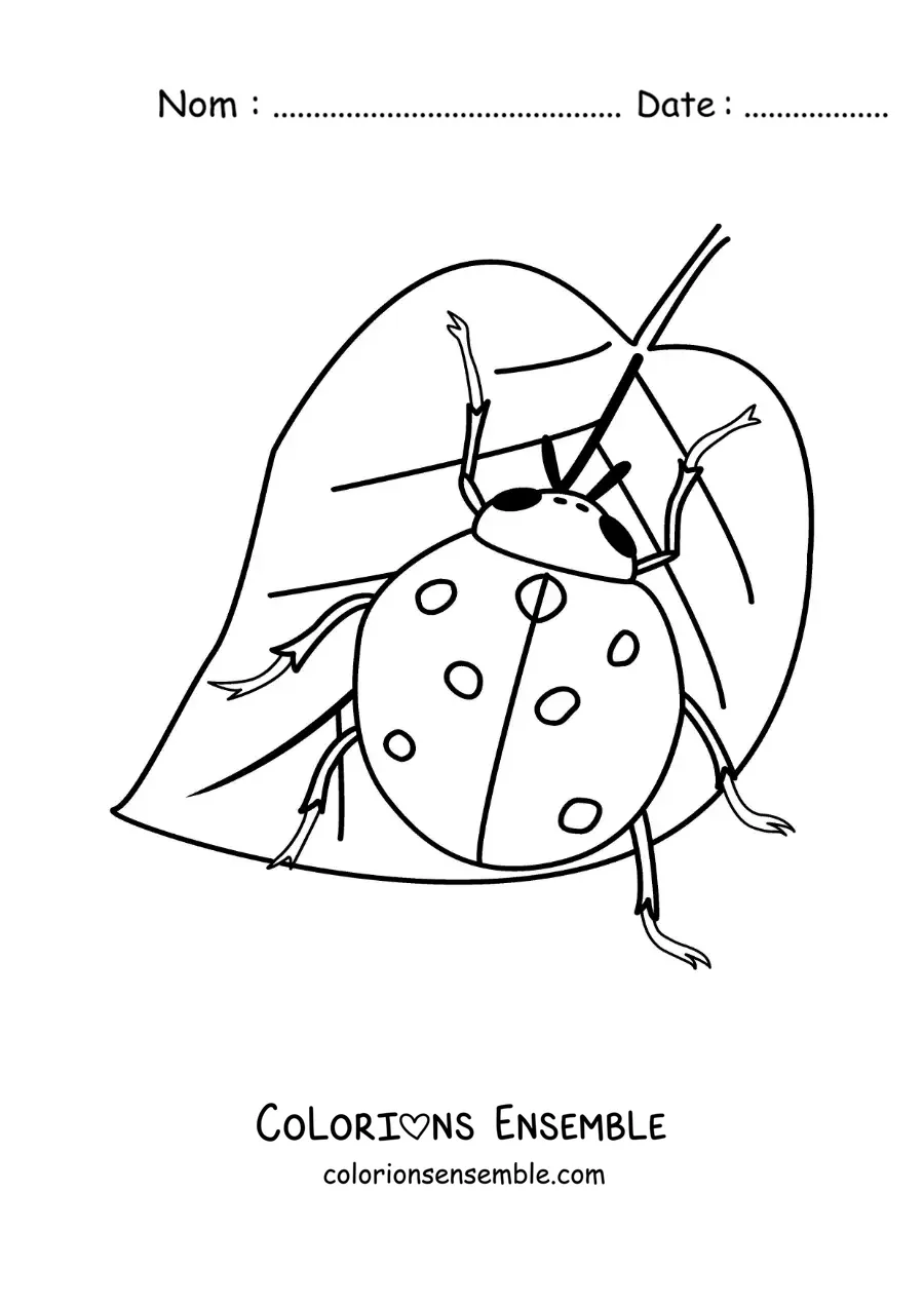 Image à colorier d’une coccinelle réaliste sur une feuille