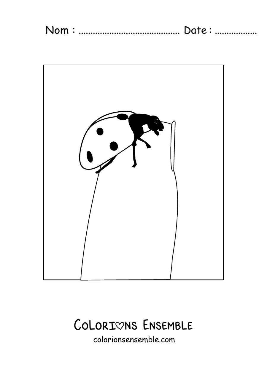 Image à colorier d’une coccinelle posée sur un ongle