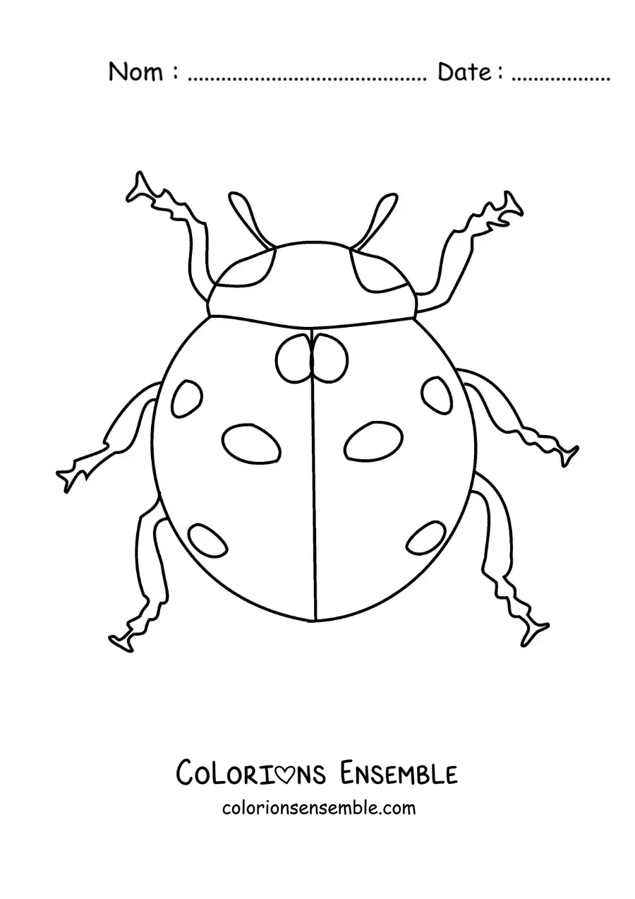 Image à colorier d’une coccinelle réaliste