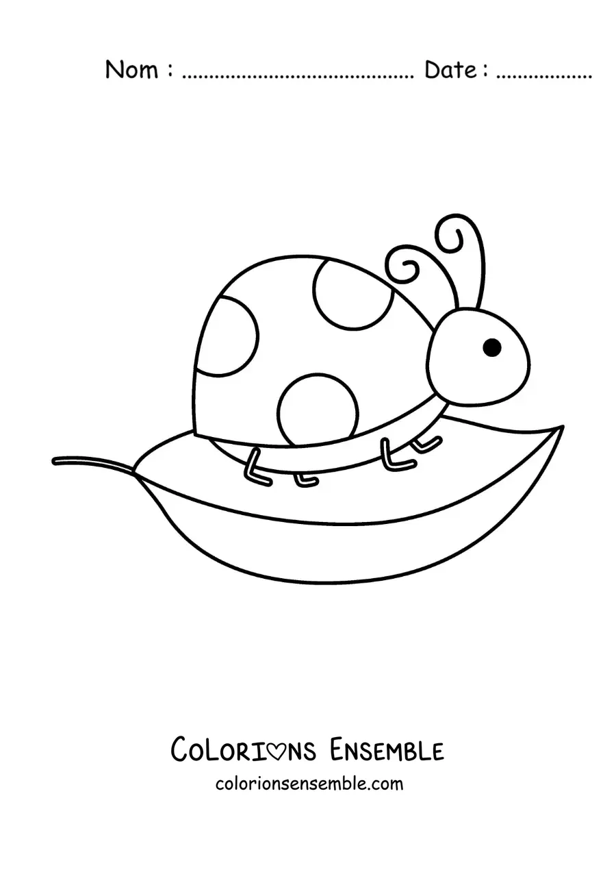 Image à colorier d’une coccinelle rigolote sur une feuille