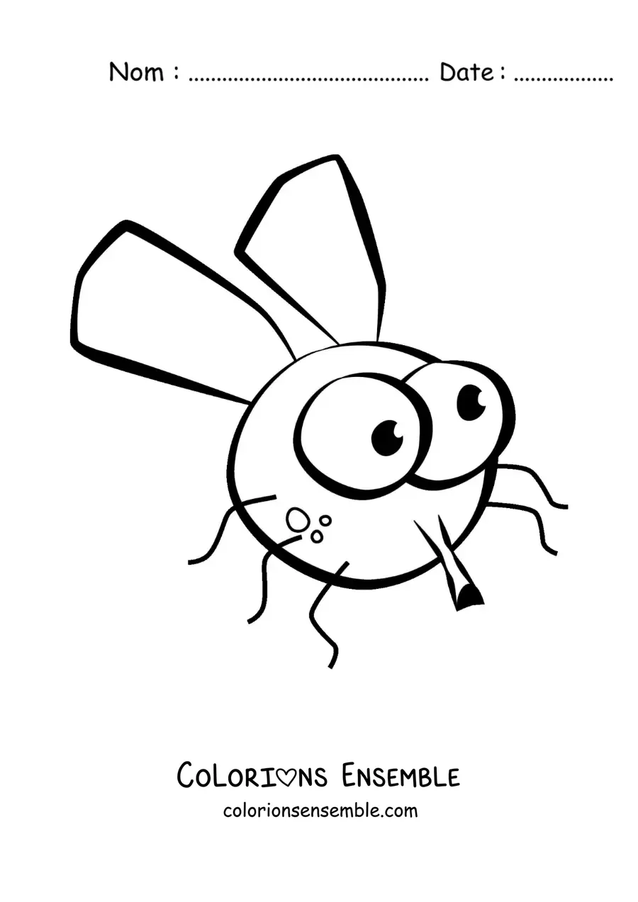 Image à colorier d’une mouche rigolote et facile