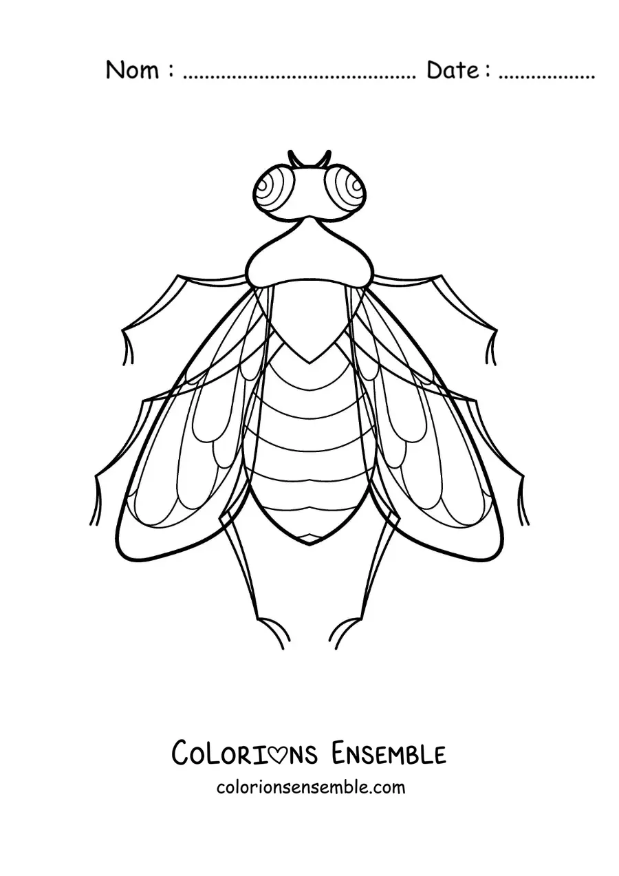 Image à colorier d’une mouche réaliste