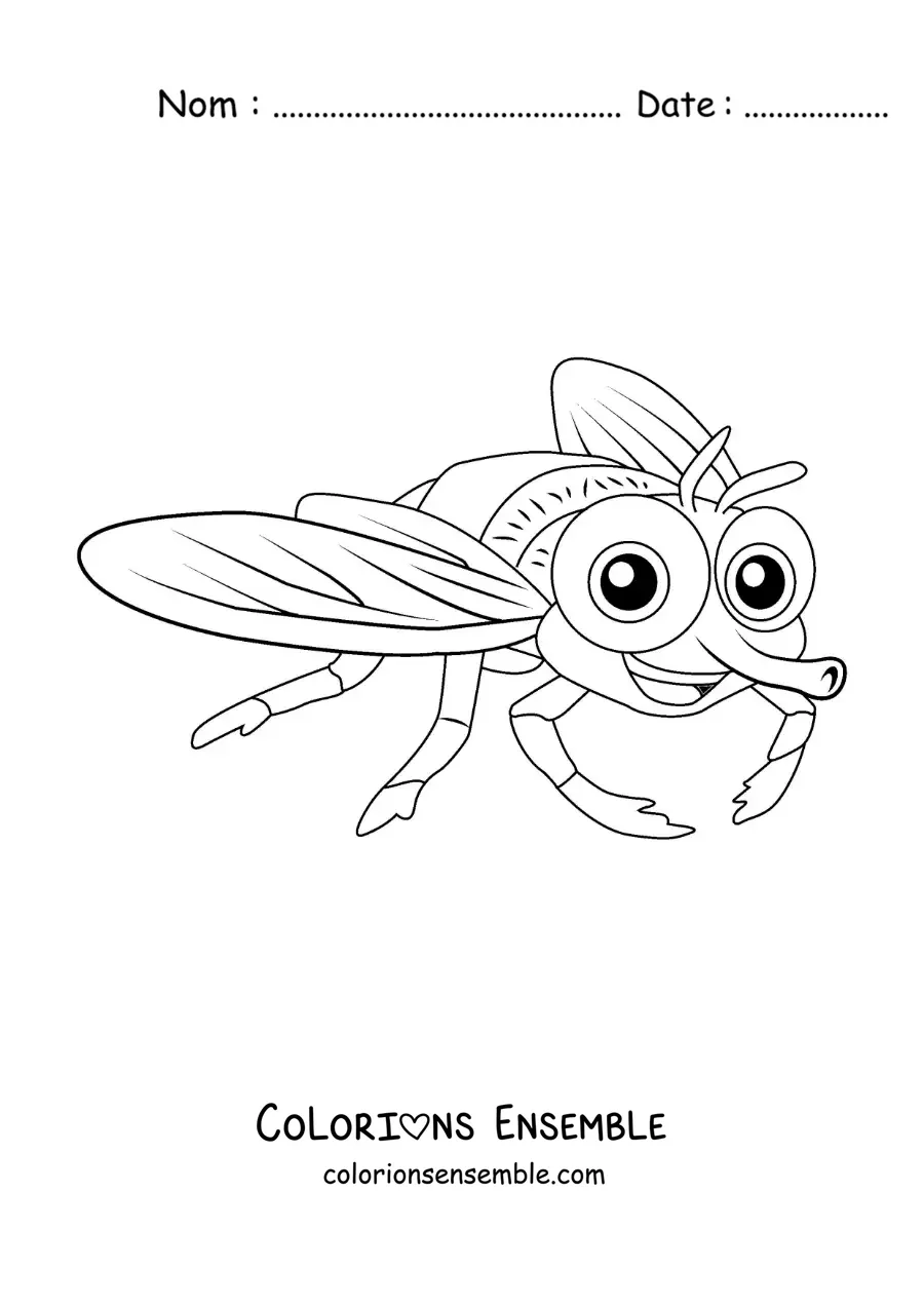 Image à colorier d’une mouche rigolote pour enfants