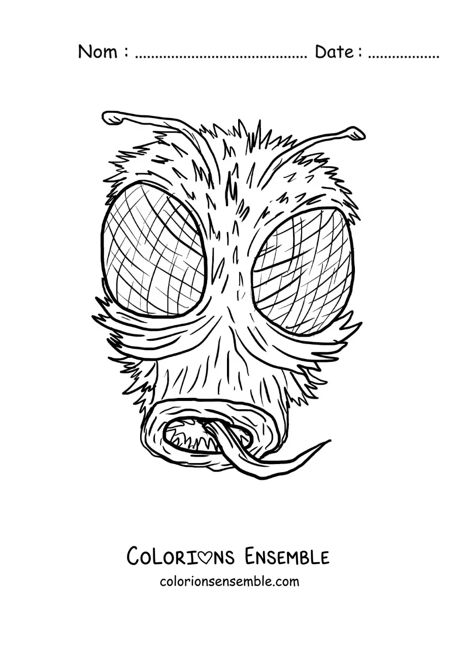 Image à colorier du visage d’une mouche effrayante
