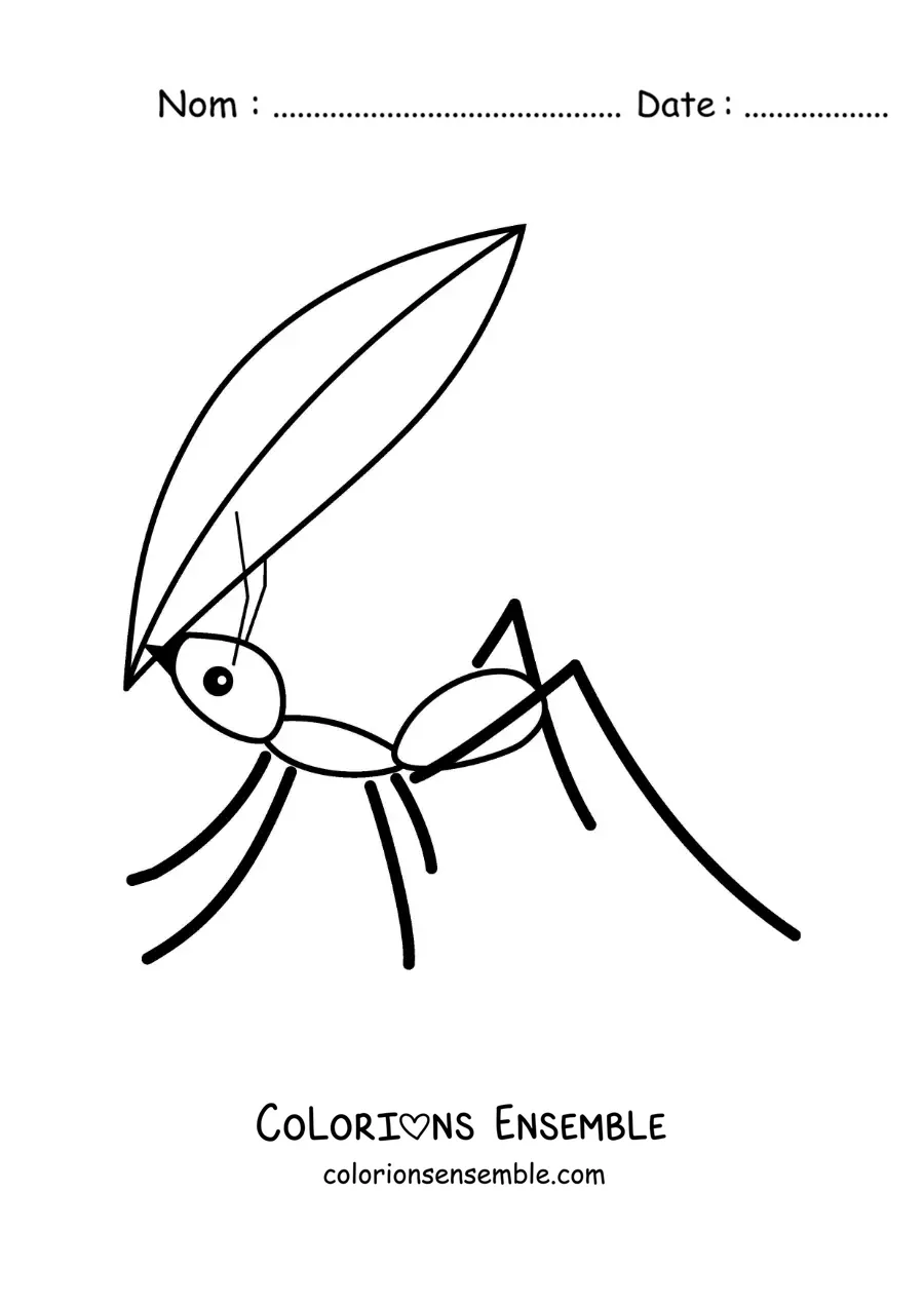 Image à colorier d’une fourmi qui porte une feuille