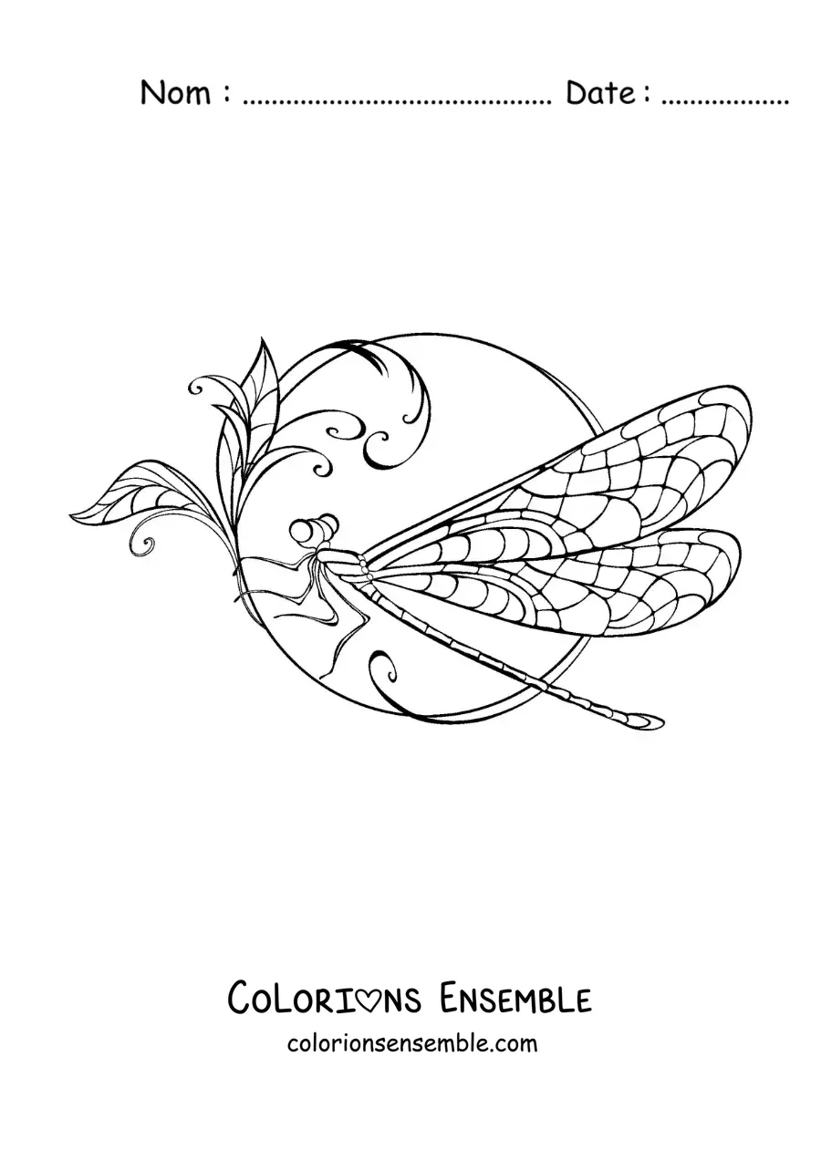 Image à colorier d’une belle libellule sur une fleur