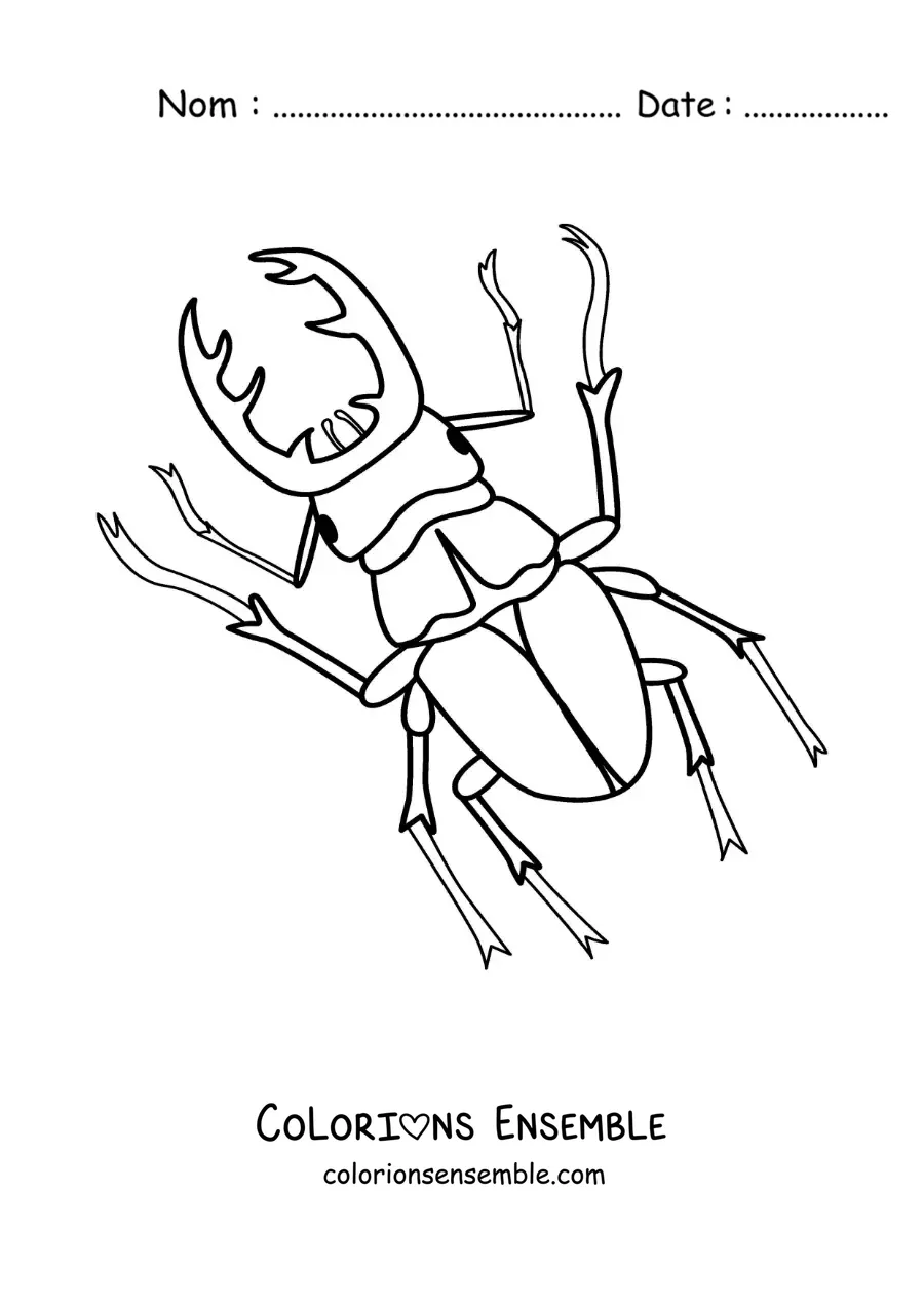 Image à colorier d’un lucane