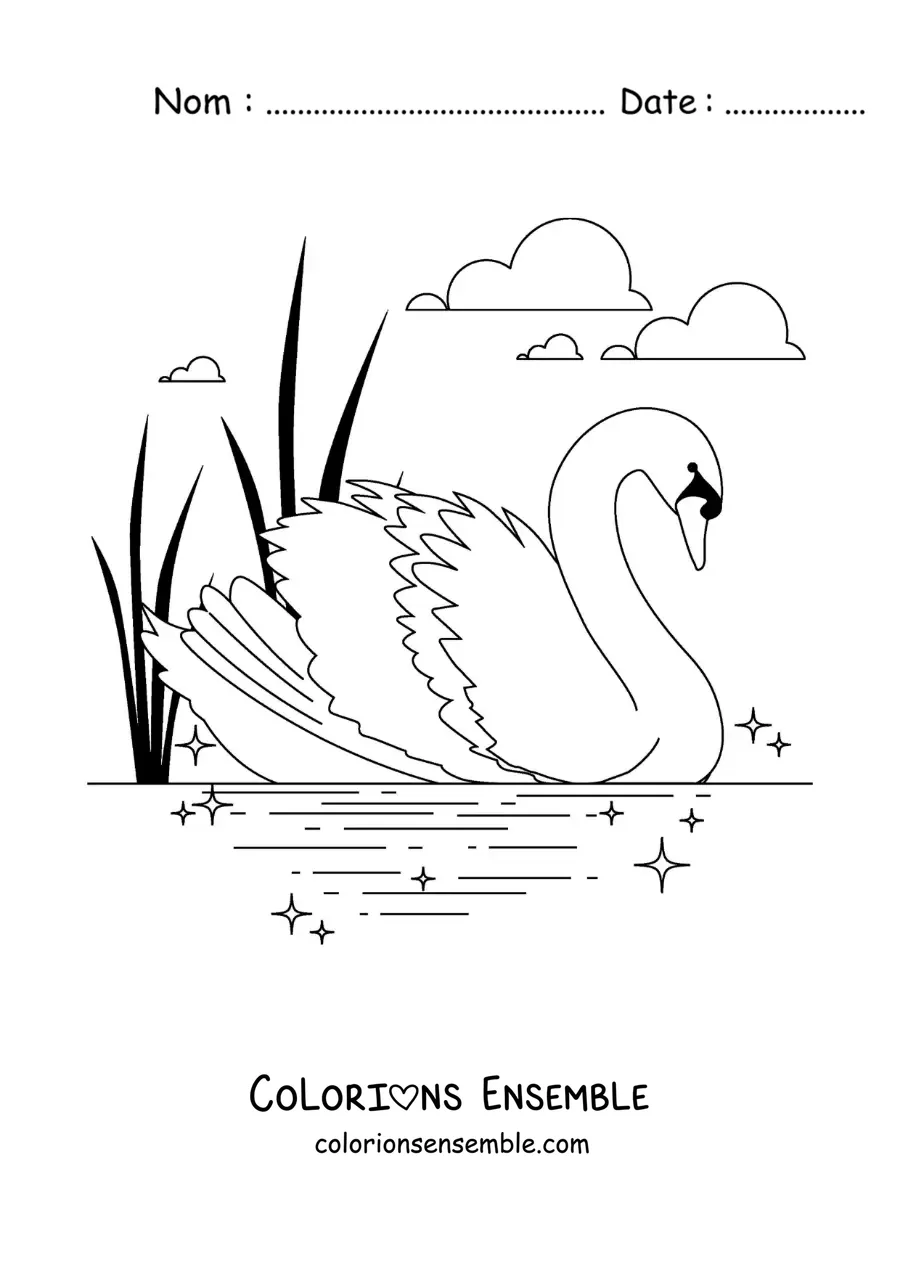 Image à colorier du Vilain Petit Canard devenu cygne
