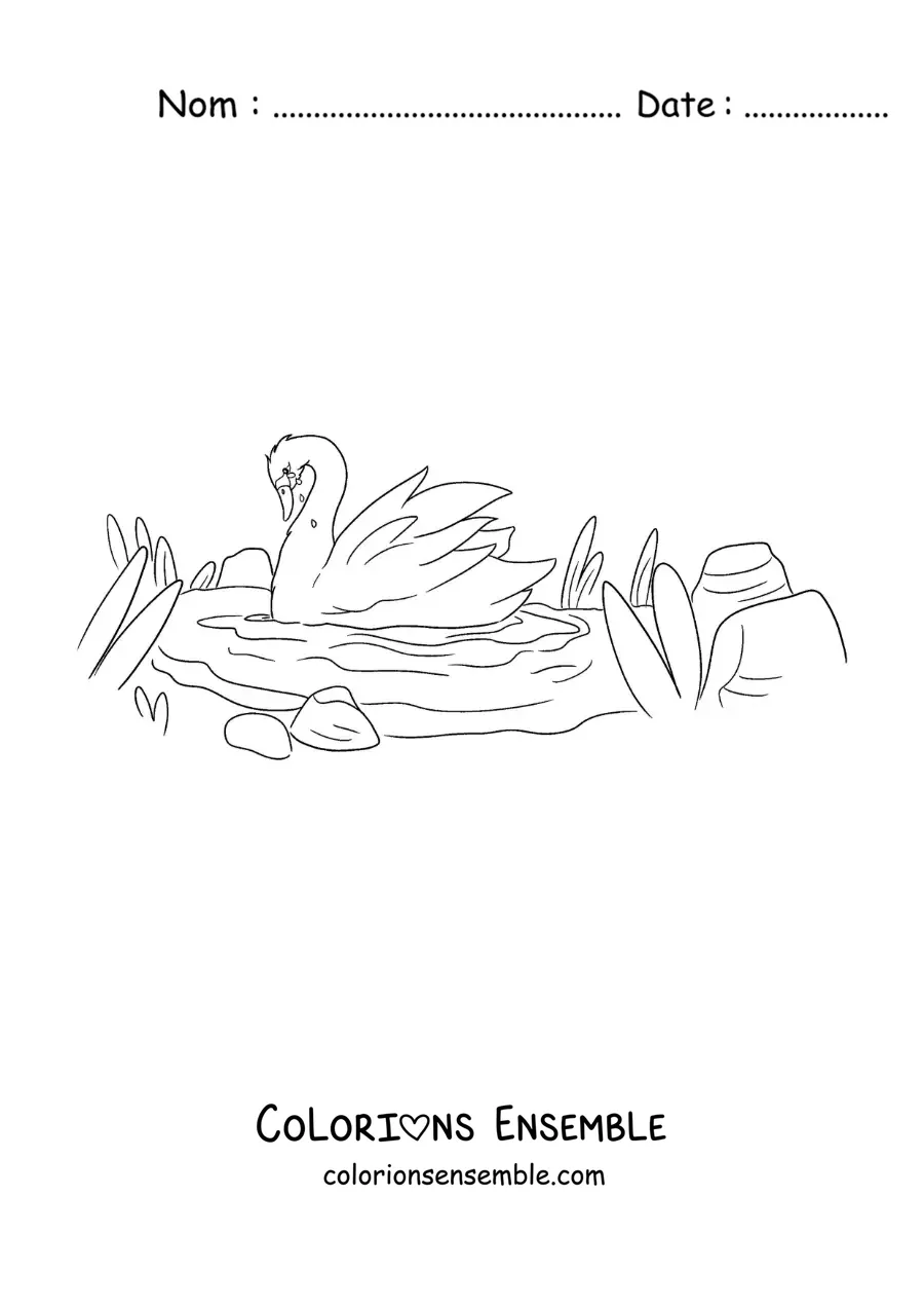 Image à colorier du Vilain Petit Canard transformé en un beau cygne