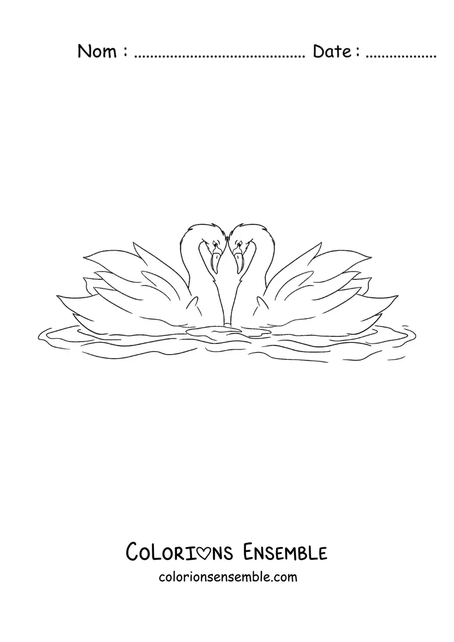 Image à colorier du Vilain Petit Canard transformé en cygne amoureux