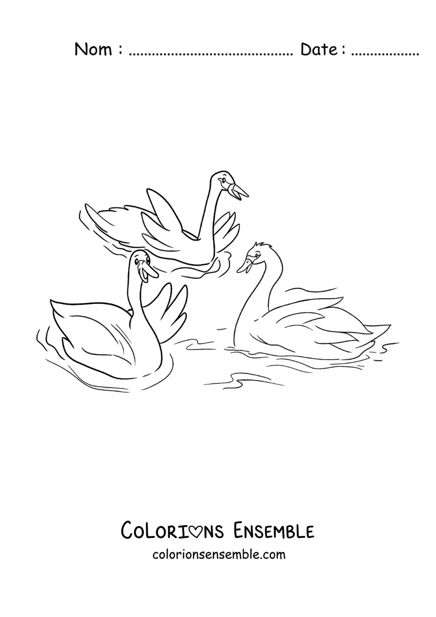 Image à colorier du grand Vilain Petit Canard qui rejoint les cygnes