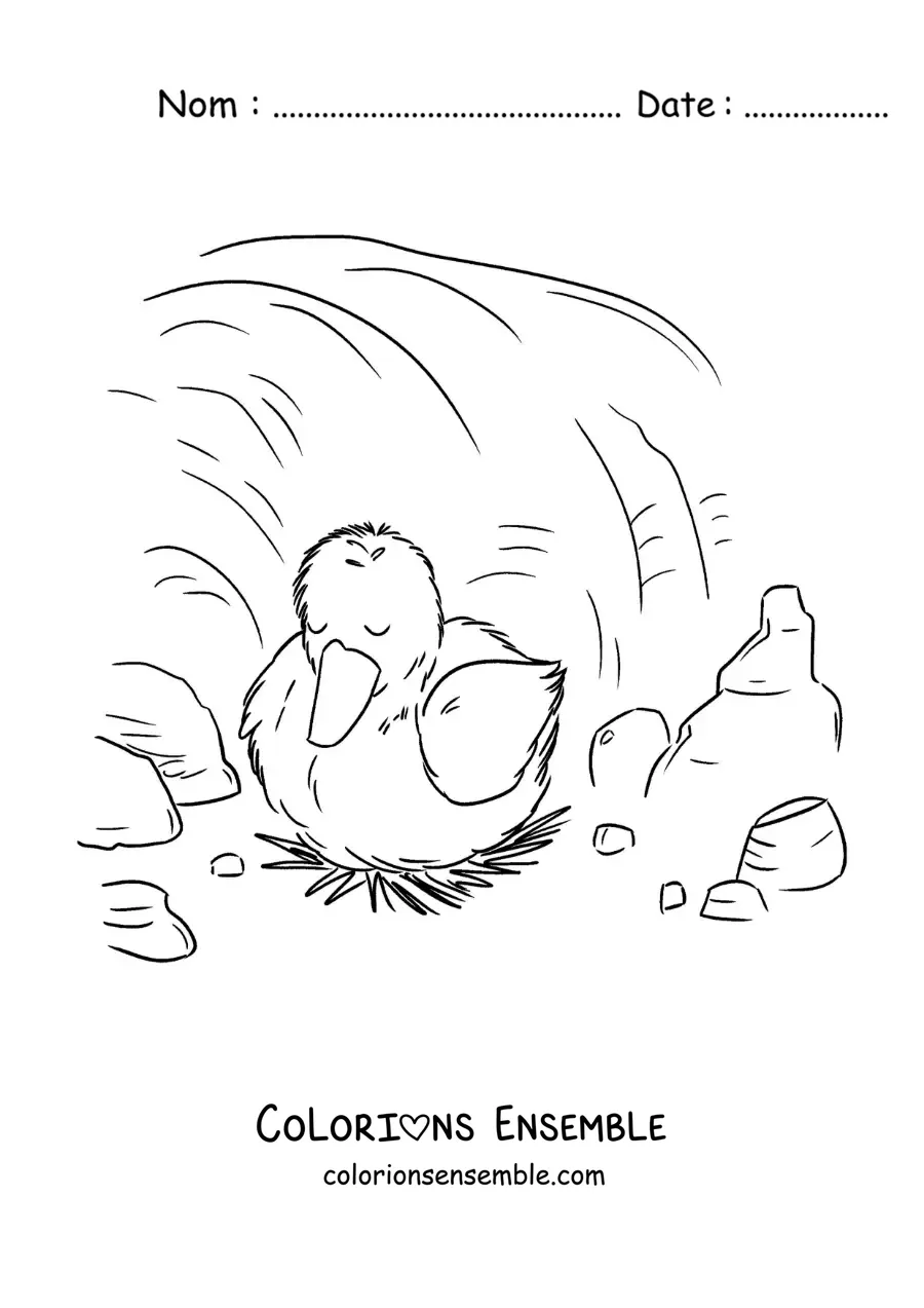 Image à colorier du Vilain Petit Canard qui dort seul