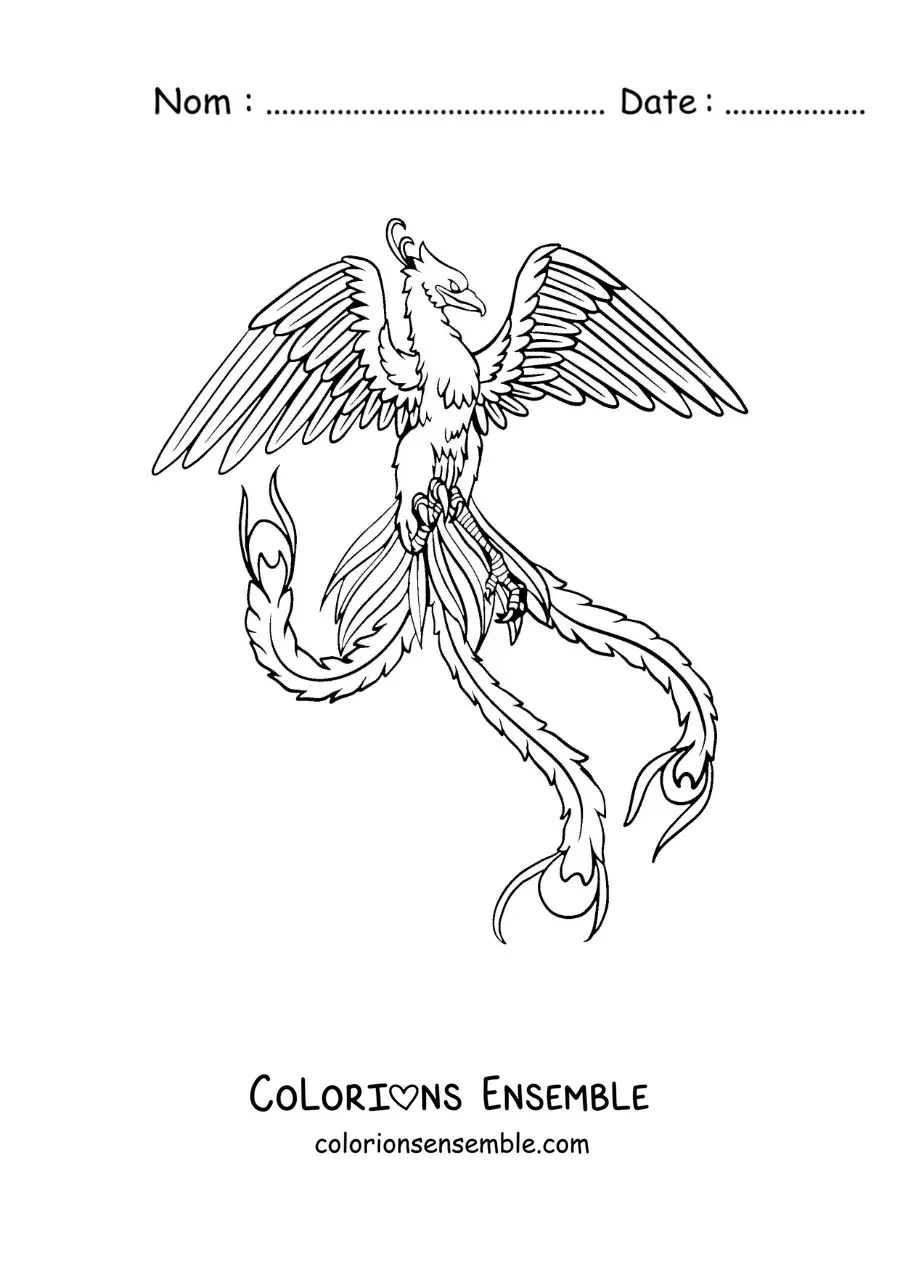 Image à colorier d'un phénix