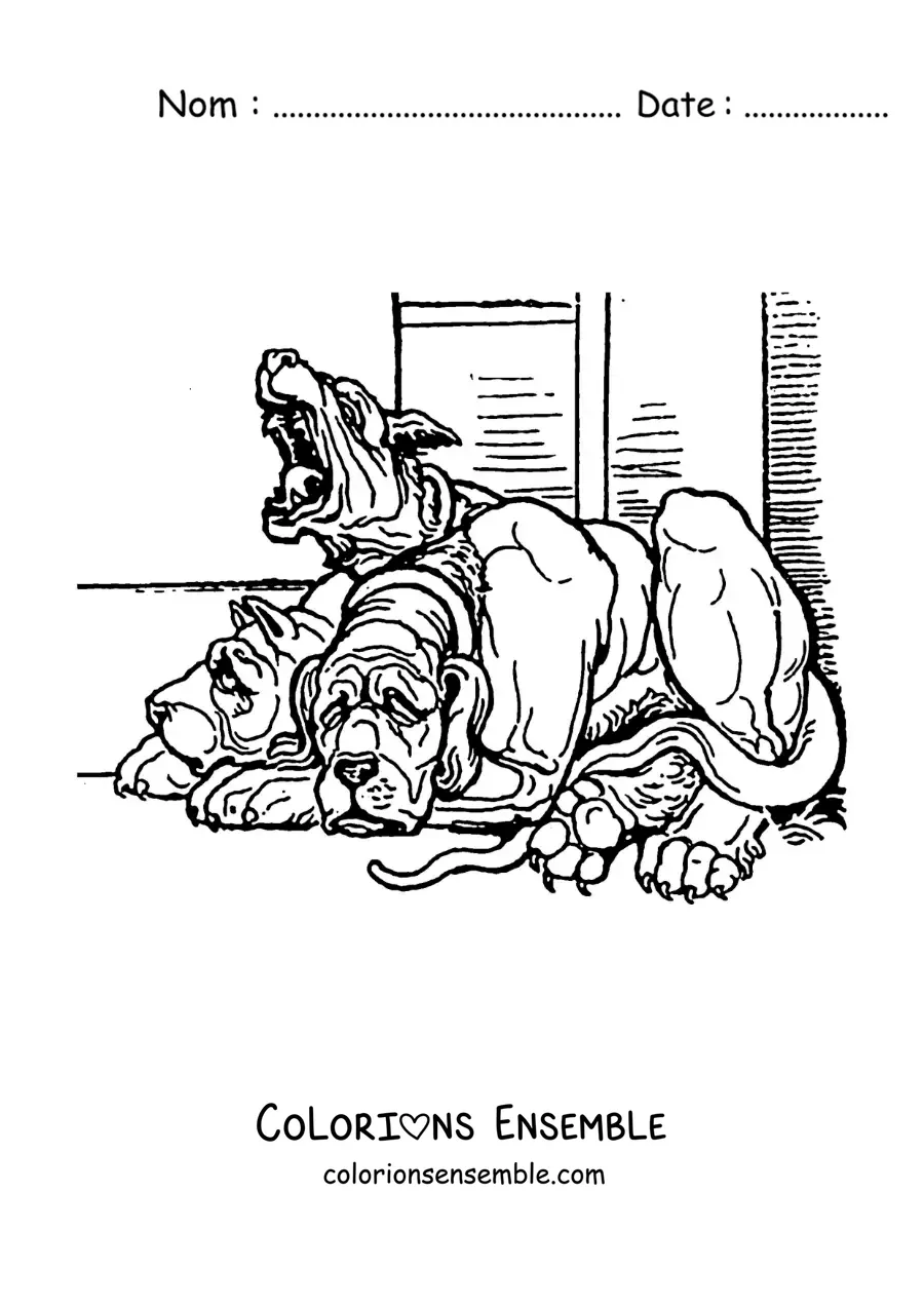 Image à colorier de Cerbère réaliste