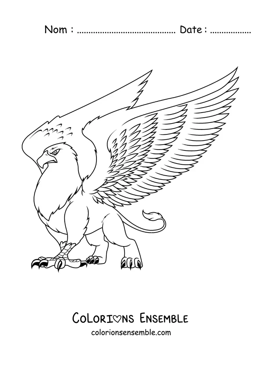 Image à colorier d'un griffon aux ailes déployées