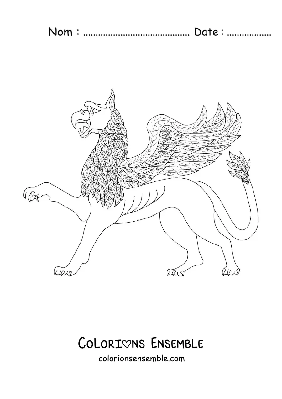 Image à colorier d'un griffon ailé