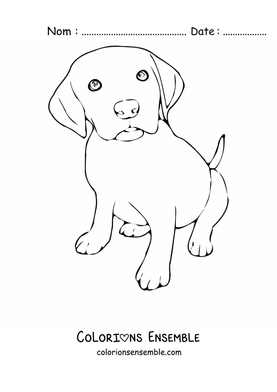 Image à colorier d’un chiot labrador