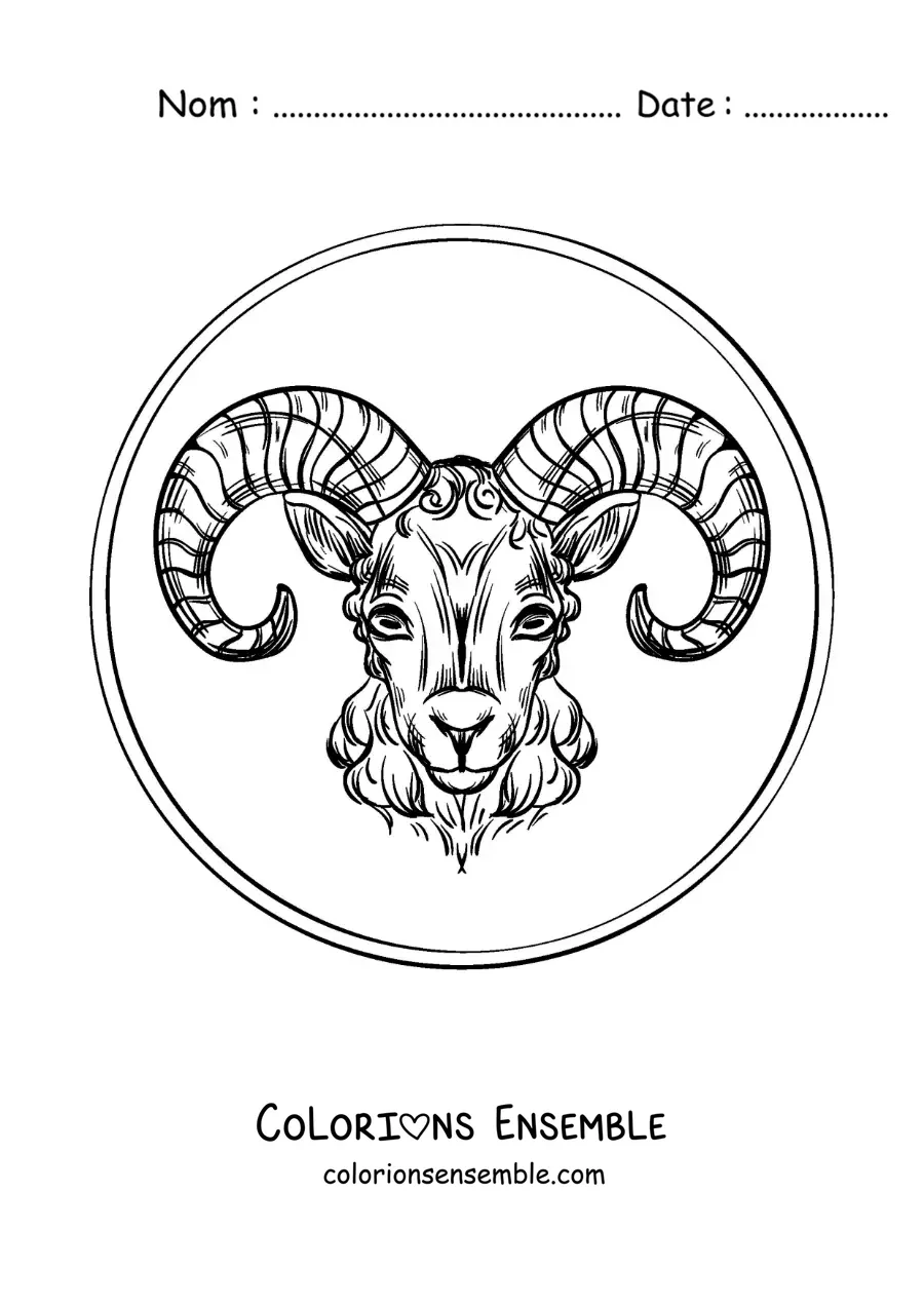 Image à colorier d’un bélier du signe du Bélier réaliste