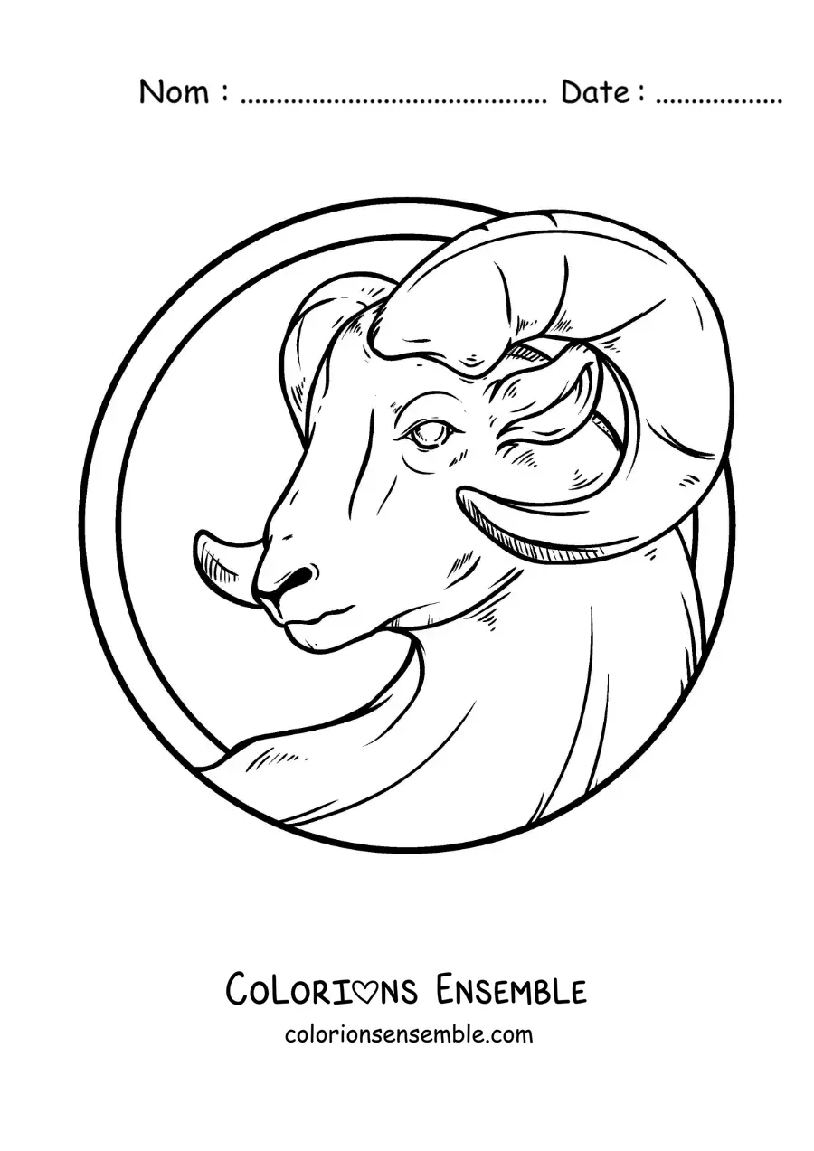 Image à colorier du bélier du signe du Bélier réaliste et grand