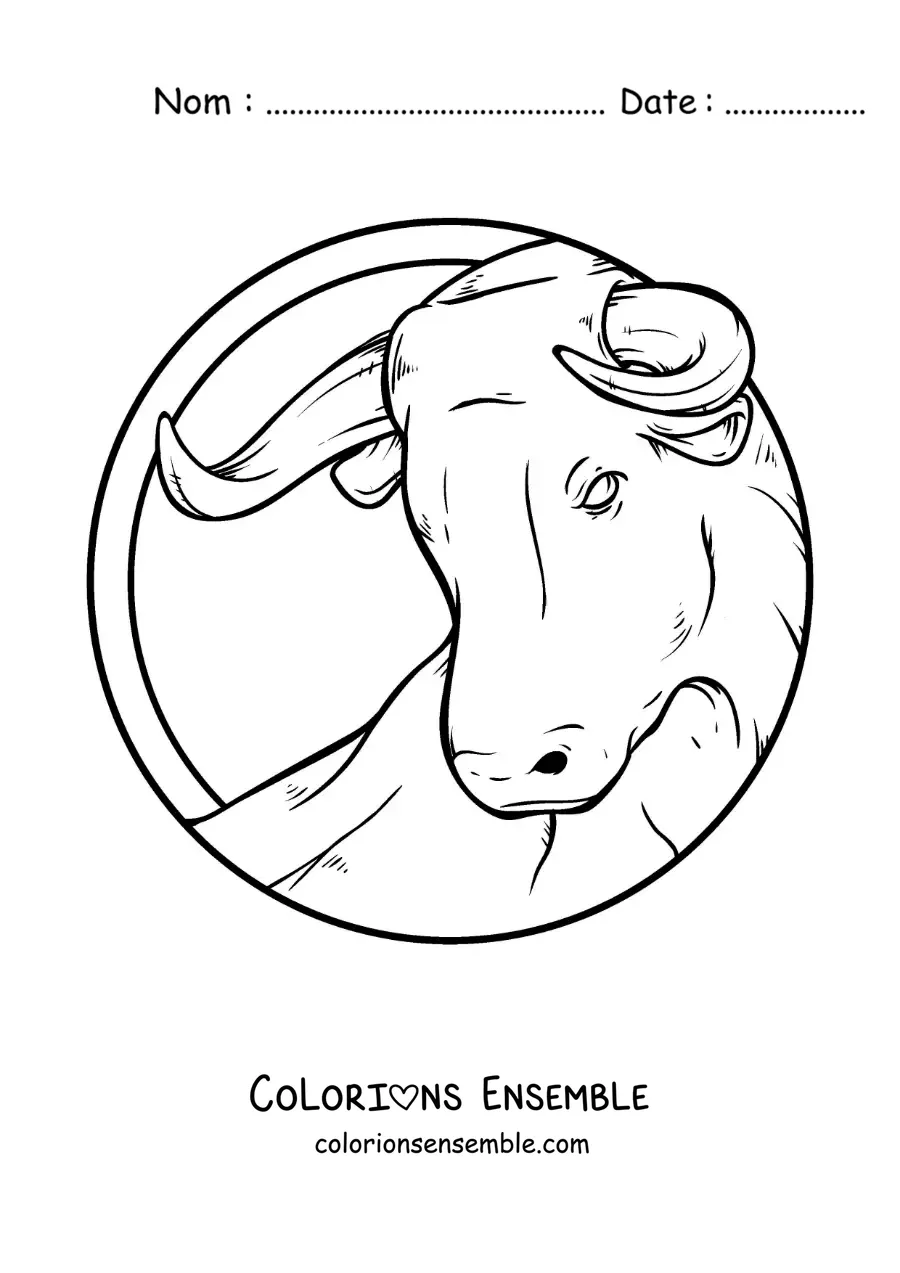 Image à colorier du taureau du signe du zodiaque Taureau réaliste et grand
