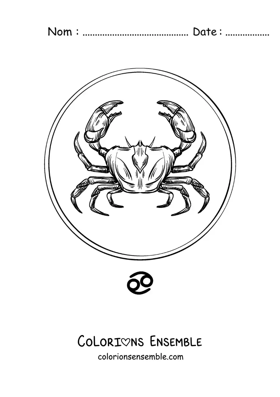 Image à colorier d’un crabe réaliste du signe du Cancer