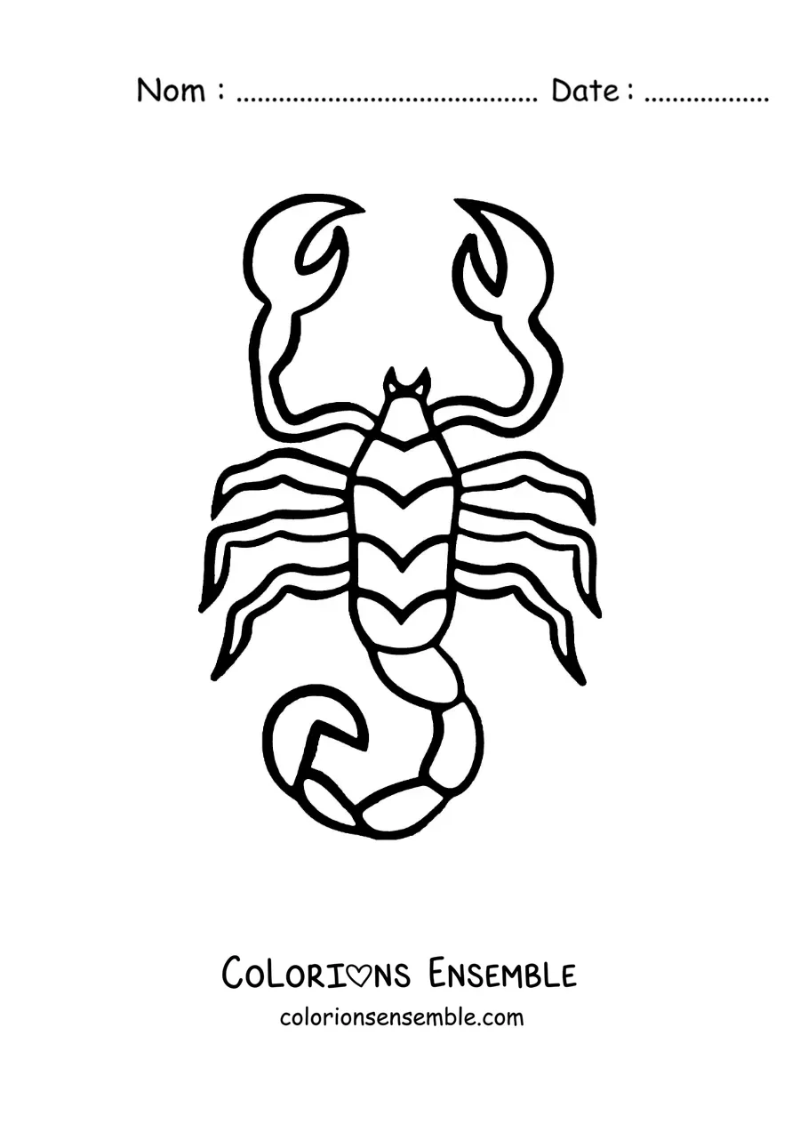Image à colorier facile d’un scorpion